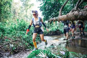 BIB: 
                            <button type="button" onclick="openModal(25461961)" class="btn btn-primary btn-sm float-right btn-popup" data-toggle="modal" data-target=".modal-high-quality">
                        <i class="fas fa-shopping-cart"></i> Add to Cart
                    </button>
                                            <button type="button" onclick="isThisMe(25461961, true)" class="btn btn-success btn-sm float-right btn-popup btn-isme hidden" data-toggle="tooltip" data-placement="bottom" title="นี่คือรูปของคุณใช่ไหม คลิกที่นี่เพื่อเอาเข้าอัลบั้ม">
                        <i class="fas fa-plus"></i> Add to album
                    </button>
                    <button type="button" onclick="isThisMe(25461961, false)" class="btn btn-warning btn-sm float-right btn-popup btn-isnotme hidden">
                        <i class="fas fa-ban"></i> Remove from album
                    </button>